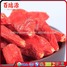 Solo cortes de bayas de goji auténticos goji berry dragón hierbas goji berry dieta baja en calorías